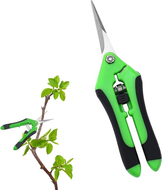 Kleine snoeischaar voor tuinieren en bonsai, rechte punt voor fruit, bloemen en takken snijden van Merkloos	