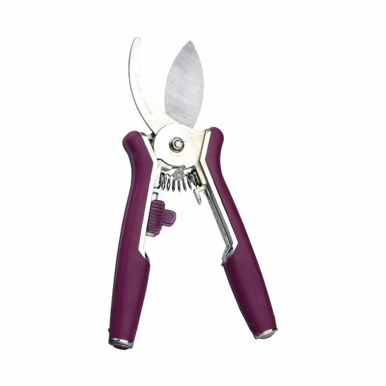 Kleintje Knip Bloemenschaar - Geschikt voor Bloemen en Takken - Snoeischaar Tuinieren en Onderhoud - Tuinschaar Heggenschaar - Soft Grip - Roestvrij - Takkenschaar - Bloemschikken van Kleintje Knip