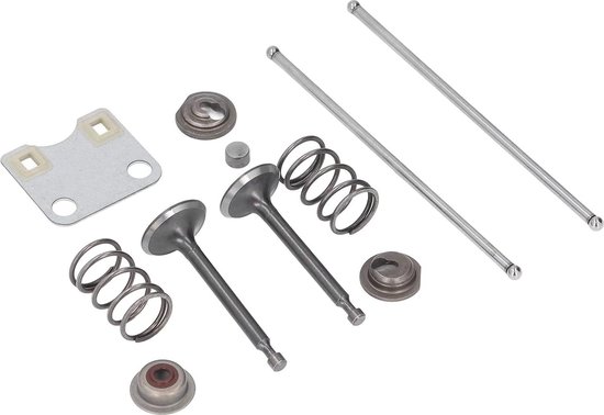 Klepplaat Beschermkap Grasmaaier Klepveer Set 14791-ZE1-010 GX160 GX200 - 5.5HP 6.5HP Motor - Vervangende Accessoires .
