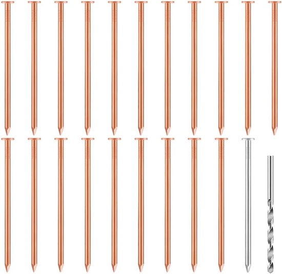 Koperen Spijkers - Boom Verwijderaar - Stronken Doden - Duurzaam Materiaal - 9 cm - Koperkleur