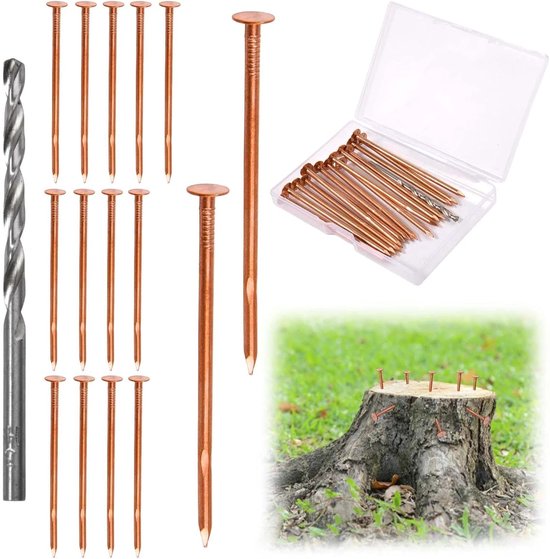 Koperen Spijkers - Boom Verwijderaar - Stronken Doden - Pure Koperen Constructie - 8cm Lengte - Geel van Merkloos	