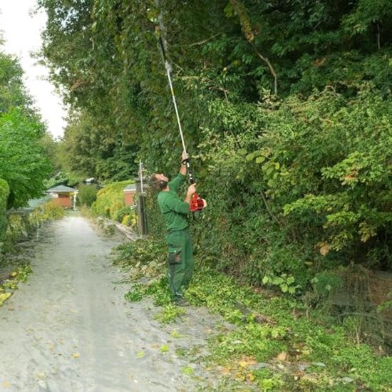 Krachtige 52 cc Benzine Heggenschaar met Verlengstang voor Hoog Bereik van Merkloos	