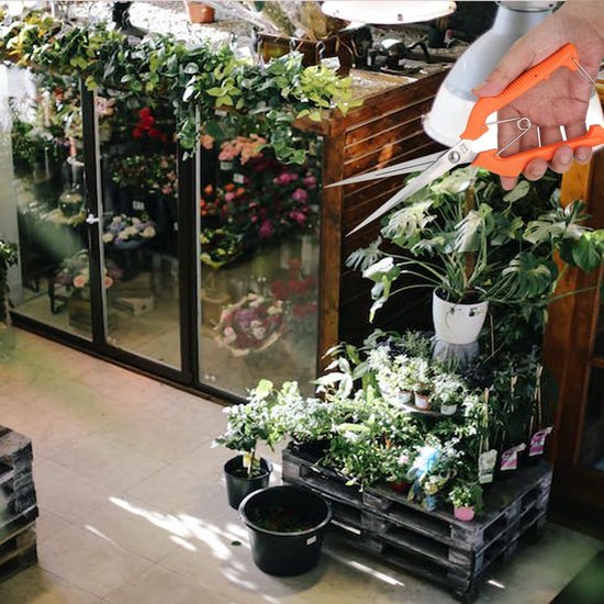 Lange Snoeischaar 25cm met RVS Scherpe Bladen voor Takken en Bloemen van Merkloos	