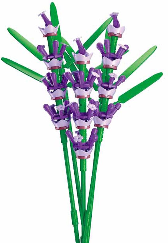 Lavendel Sluban: 258 stuks (M38-B1101-14) van LAVENDEL