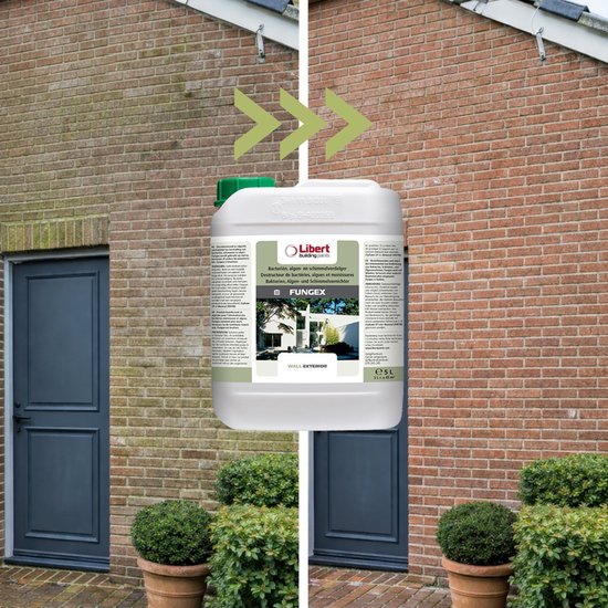 Libert Fungex : Ontmosser & Gevelreiniger Tegen Schimmels, Wieren & Groenaanslag 5Liter