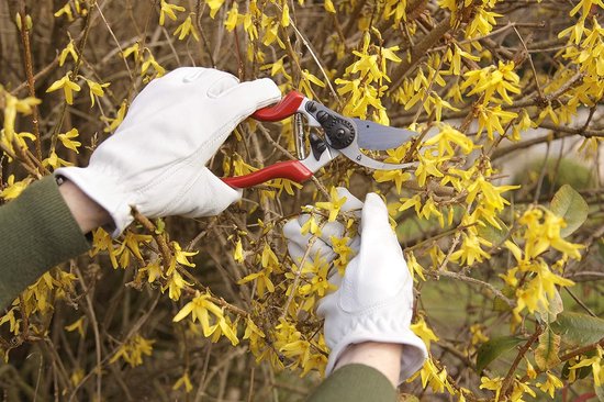 Linkshandige bypass-snoeischaar van Felco