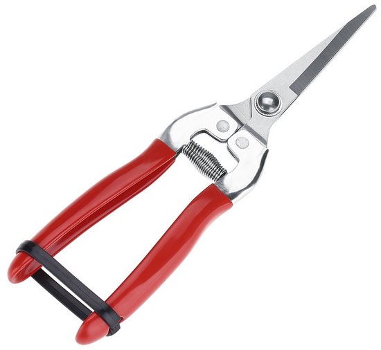 longziming - Tuinschaar - Oogstschaar - Snoeischaar - RVS - Met Veermechanisme en Vergrendeling - Voor Bloemen, Groenten en Fruit - 20,5 cm