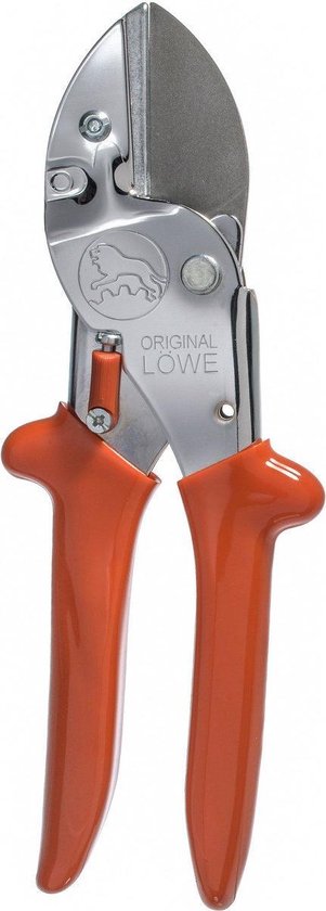 Löwe Aambeeldsnoeischaar van Löwe