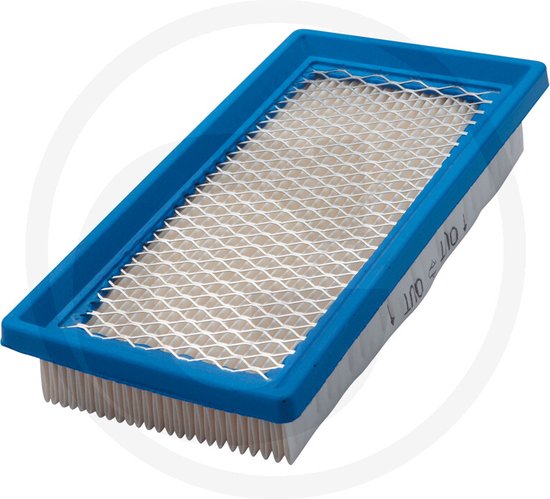 LuchtFilter Briggs&Stratton 494511