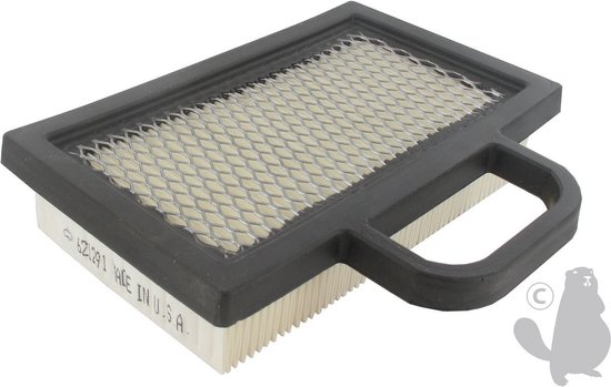LUCHTFILTER - BS499486S - Briggs&Stratton van $