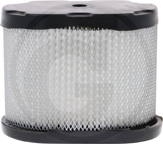 Luchtfilter passend voor Briggs&Stratton 697029 van Noma