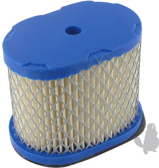 Luchtfilter voor BRIGGS en STRATTON 5,5 & 6,5 PK Intek 121600