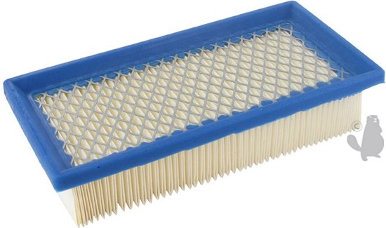 Luchtfilter voor BRIGGS & STRATTON. Vervangt origineel: 491384 . van EMMA 