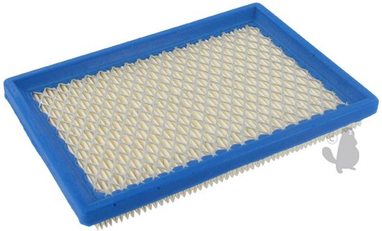 Luchtfilter voor BRIGGS & STRATTON van Briggs & Stratton