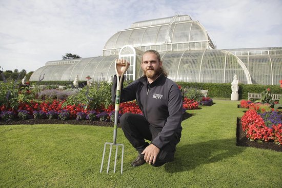 Massief Gesmede Koolstofstalen Randvork voor Tuinwerk van KOTARBAU