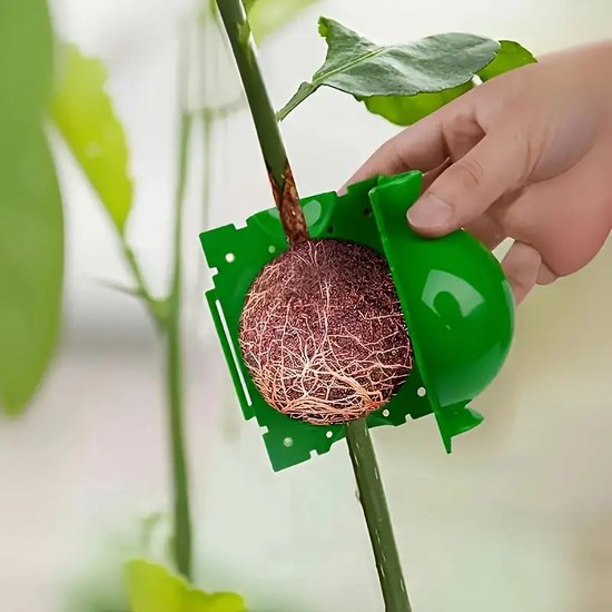 MGM Trading - 10 stuks, 5 cm/1.97 inch diameter plastic plant wortelbal enten gereedschap, groen hoge druk voortplantingsapparaat voor luchtafleggen en zaailingenstekken, tuinbenodigdheden