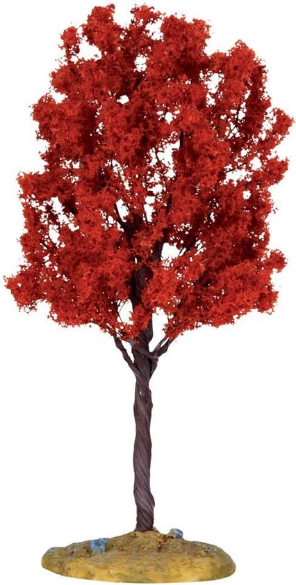 Middelgrote Moerassipres boom voor tuin en vijver van Merkloos	