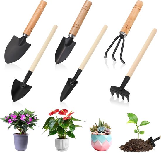 Mini Tuin Gereedschap Set - 6 Delige Set met Houten Handvat voor Succulenten, Potplanten en Tuinwerkzaamheden