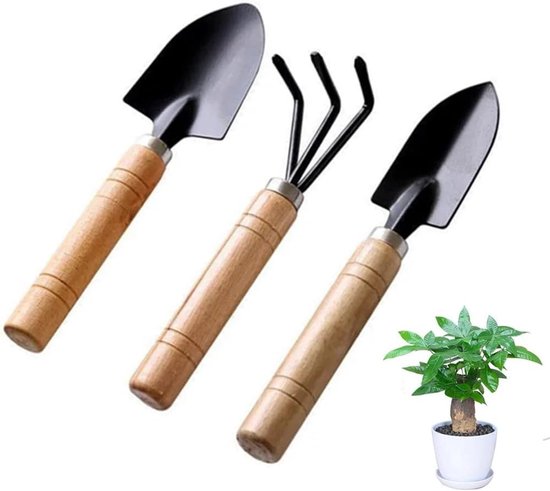 Mini Tuin Gereedschap Set van 3 Stuks - Tuinschep, Licht Hark en Bonsai Gereedschap voor Succulenten en Potplanten