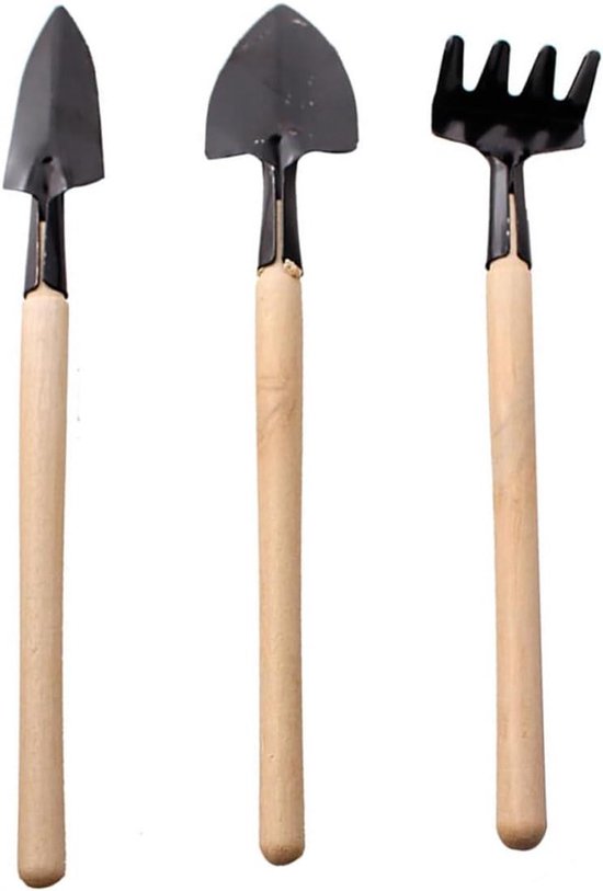 Mini Tuingereedschap - Kleine Hark - Kinder Tuinieren - Duurzaam Houten Handvat - 21 cm Lengte - Zwart