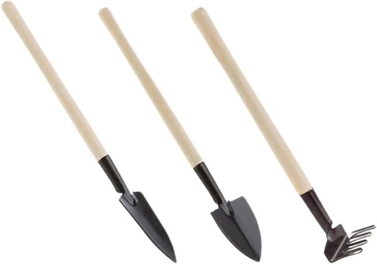 Mini Tuingereedschap Set - Bonsai Gereedschap - Planten Verzorgen - Houten Handvat - 3 Stuks - Niet Gespecificeerd