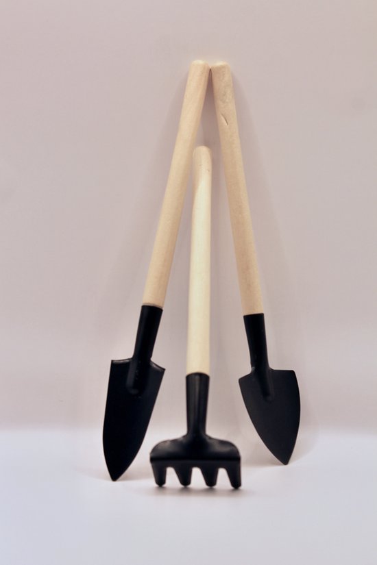 Mini tuingereedschap set - ECO tuin - Spade - Hark - Schep van MINI