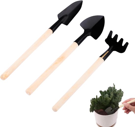 Mini Tuinset - Succulent Gereedschap - Kleine Planten Verzorgen - Ergonomische Houten Handgreep - 21.4 cm - Uniek
