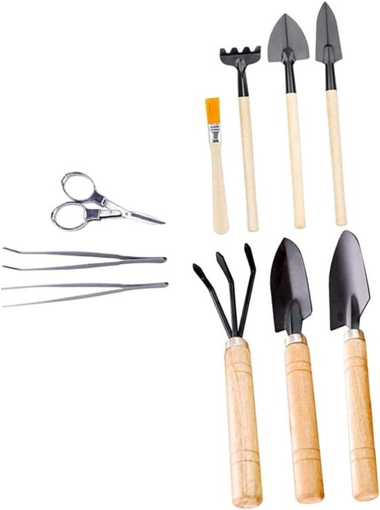Mini Tuinset - Succulent Gereedschap - Planten Verzorgen - Ergonomisch Ontwerp - 10 Delig - Assorti