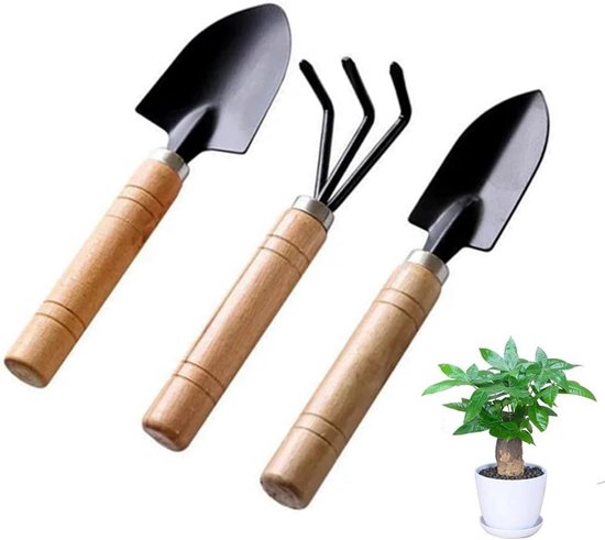 Mini Tuinwerktuigen Set (3-Delig): Schep, Hark en Spatel voor Succulenten, Bonsai en Potplanten van Merkloos	
