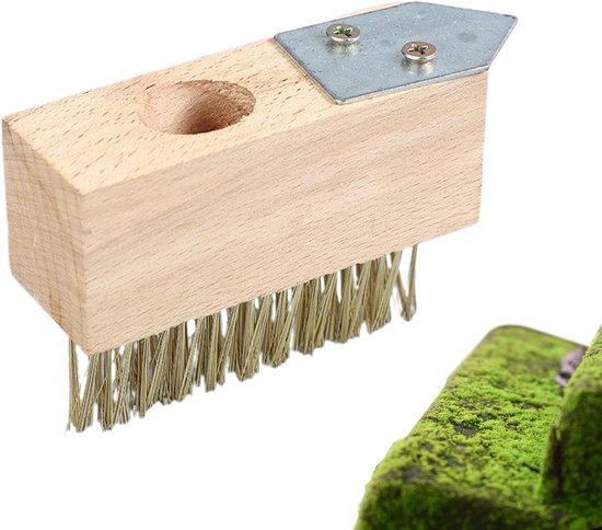Mosverwijderaar Straatstenen - Voegenwieder Onkruidborstel - Terras Reinigen - Duurzaam Koperdraad - 10x3.5x4 cm van Merkloos	