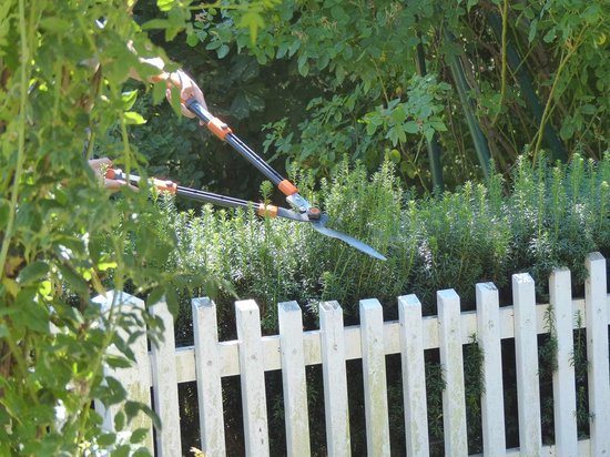 Multifunctionele heggenschaar 3-in-1 - Telescopisch en instelbare lemmet voor plezierige tuinwerkzaamheden van Merkloos	