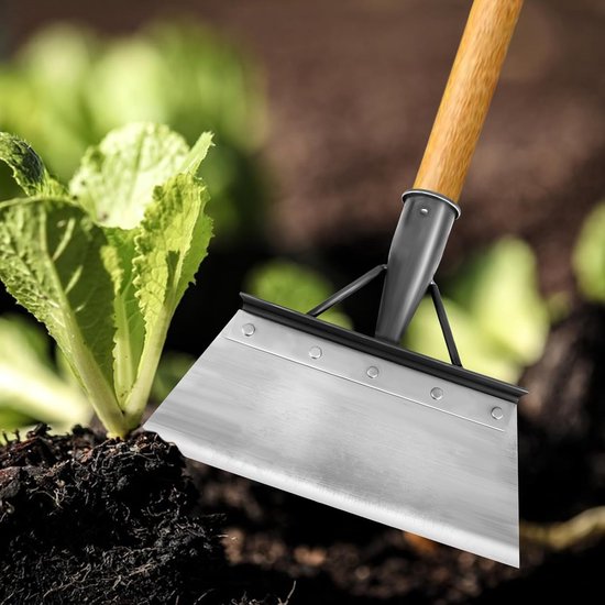 Multifunctionele Tuinschoffel - Onkruid- en Mossenverwijderaar - 21 cm van Merkloos	