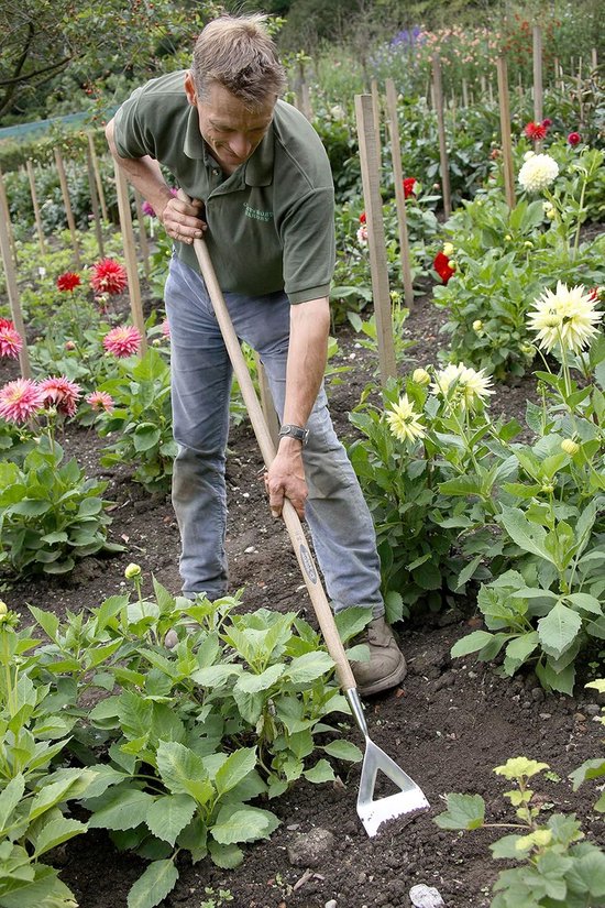 Nederlandse schoffel - Tuin schoffel - Onkruid wieden - Roestvrij staal - 132 cm lengte - Zilverkleurig van Merkloos	