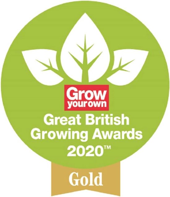 Nederlandse schoffel - Tuinwerktuig - Onkruid verwijderen - Versterkt koolstofstaal - 156 cm lengte van Merkloos	