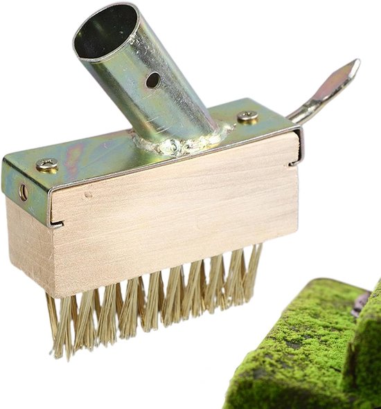 Onkruidborstel - Voegenreiniger - Terrassen Reinigen - 45 Graden Hoek - 10 x 3.5 cm van Merkloos	