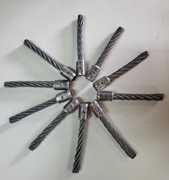 ONKRUIDBORSTELS geschikt voor TIELBURGER 10 stuks in set van Merkloos	