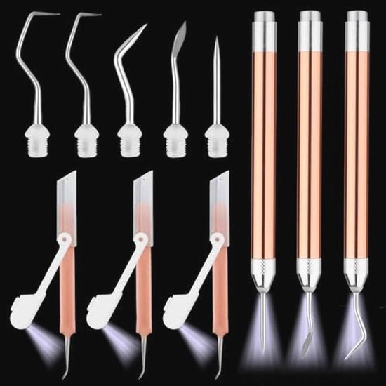 Onkruidgereedschapset met LED voor Vinylprojecten - 3 Pennen, 3 Pincetten, 5 Pinnen en Haken