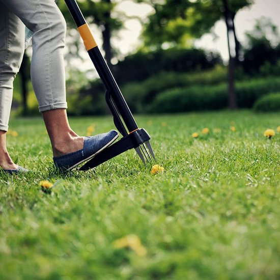 Onkruidsteker - Onkruid - Tuingereedschap - Tuinieren - Onkruidverwijderaar van DeWit