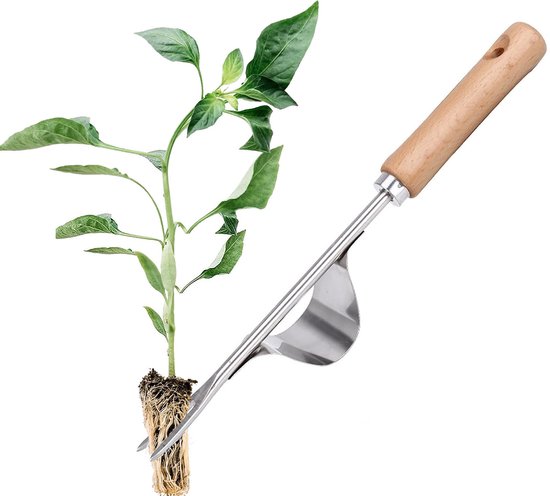 Onkruidsteker - RVS Onkruid - Onkruidverwijderaar - Onkruidtrekker - 31 cm - Wortelwiedmachine met houten handvat - Onkruidsteker Tuin - Voor wieden en losmaken - Cadeau voor elke tuinliefhebber