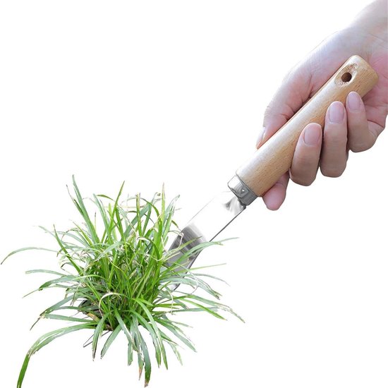 Onkruidtrekker Roestvrijstaal - Wortelverwijderaar Hark - Gazon Onderhoud - Ergonomisch Ontwerp - 13 cm Lengte - Metaal