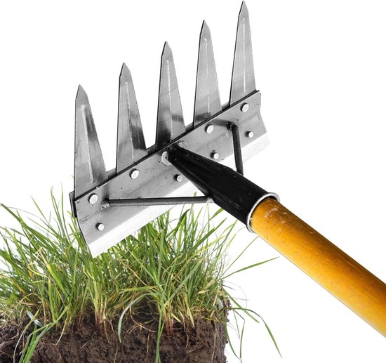 Onkruidverdelger Hark - Tuin Gereedschap - Gazon Onderhoud - Afneembaar Ontwerp - 5 Tanden - Metaal