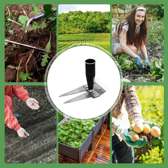 Onkruidverwijderaar Tuin - Onkruidtrekker Hark - Onkruid Wieden - Afneembaar Ontwerp - 2 Tanden - Metaal
