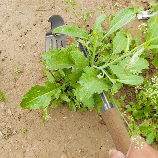 Onkruidwieder - Onkruidtrekker Tuin - Onkruid Verwijderen - 4 Scherpe Tanden - 27 cm - Metaal van Merkloos	