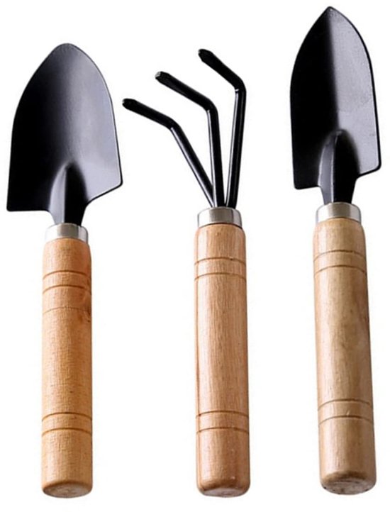 Outils Succulents Set Mini Tuin Gereedschappen Rake Spade Gereedschappen Kit voor Les semis Bodem 3PC, Tuin van Merkloos	