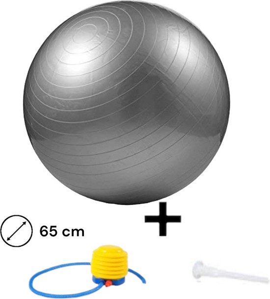 Padisport Yoga Bal Zilver 65 Cm- Fitnessbal 65 Cm - Zitbal 65 Cm - Zwangerschapsbal - Fysio Bal - Yoga Bal Inclusief Pomp - Fitnessbal - Pilates Bal - Yoga Bal Zilver - Yoga Bal 65 Cm - Yoga Bal - Fitness - Zilver van Padisport