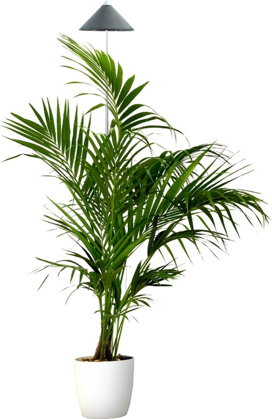 Parus by Venso SUNLiTE Kweeklamp XL 25W gris, LED groeilamp met telescopische staaf, groeilamp voor kamerplanten en groene planten van Venso