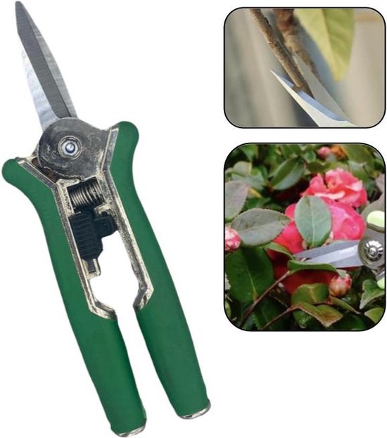 PD® - Snoeischaar recht - Extra Scherp! - Bloemenschaar - 15 cm van PD®
