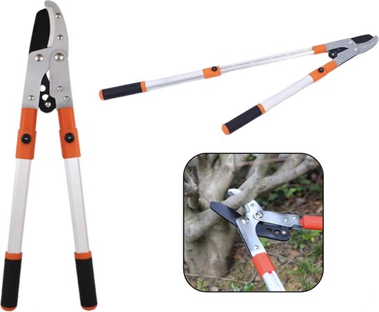 PD® - Snoeischaar - Takkenschaar - EXTRA STERK - 71 tot 100 cm - 3 traps telescoop aambeeld - Messen Met non-stick coating - Snoeien - Takken - Planten - Bloemen van Merkloos	