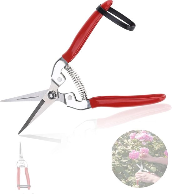 Plantenschaar en snoeischaar×2, kleine rechte schaar, oogstschaar, takkenschaar, fruitboom voor tuin, bonsai, planten, bloemen, rozen, boeket, takken, oogst, groenten en fruit, grow, accessoires (recht) van Merkloos	