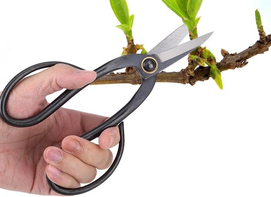 Plantenschaar van 200 mm voor het trimmen en snoeien van bonsai planten